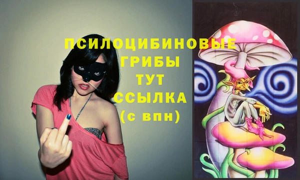 марки lsd Аша