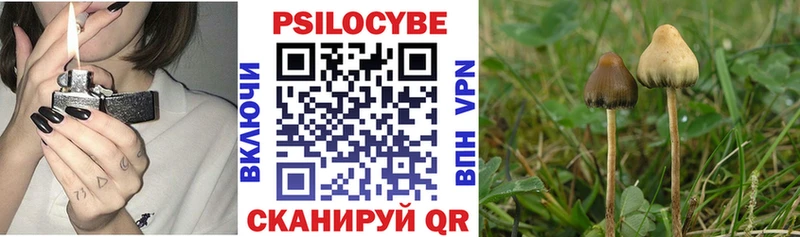 kraken сайт  Себеж  Псилоцибиновые грибы ЛСД 